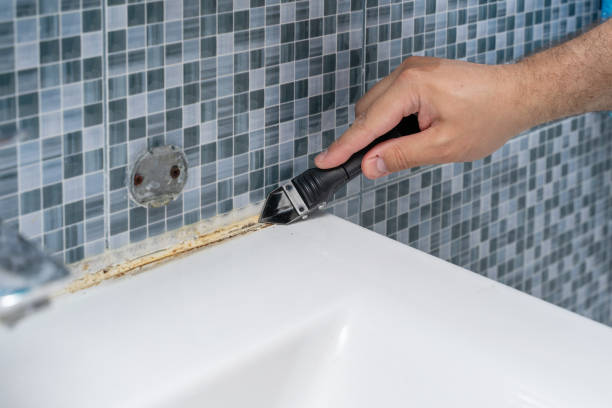 Home Mold Removal in Morehead City, NC